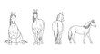 © LOBSTER LARRY - Elegant horse line art set in four poses with detailed sketch design