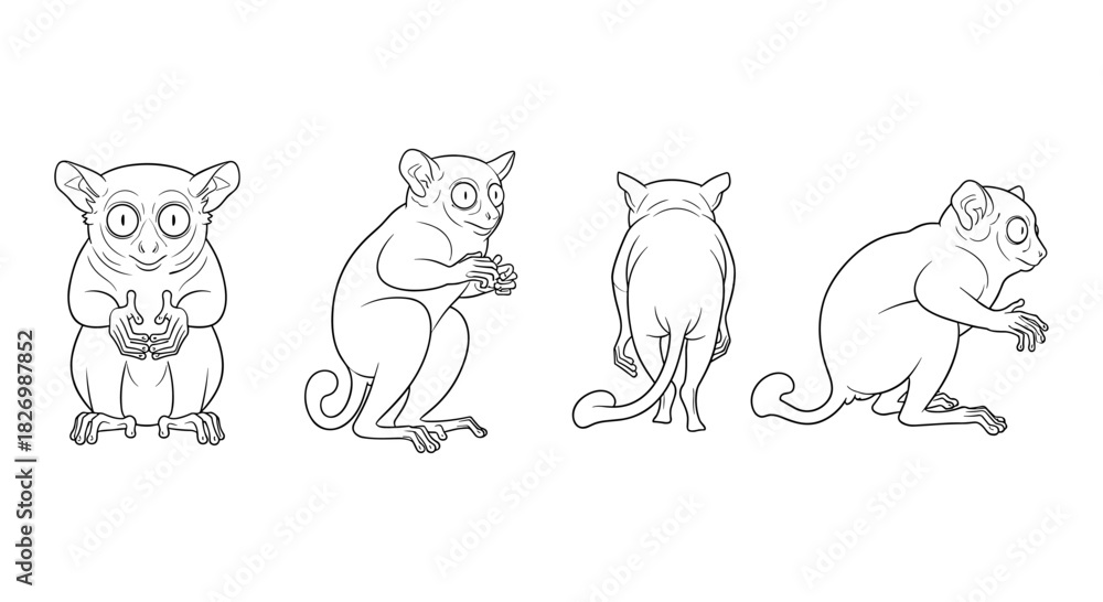 Tarsier animal line art from multiple angles for nature and wildlife ...