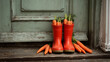 © stasja - Red rubber boots filled with fresh carrots on wooden doorstep