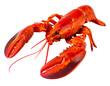 © Cutouts Pro - Whole red lobster isolated on transparent background, cutout, png