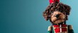 © Fernando - Adorable brown puppy dressed as a festive nutcracker toy soldier, looking curiously at the camera Concept of Christmas, holidays, and cute pets
