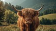© Sona - A highland cow standing in a lush green field with forested mountains in the background.