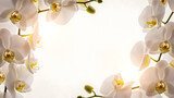 Elegant white orchid flowers with golden centers framing a bright white background, creating a beautiful floral border.