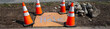 © knelson20 - Plywood with the word Hole spay painted on it covering an open hole between the road and sidewalk for underground utilities construction work