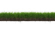 © Vibu design  gallery - A vibrant green grass strip with exposed rich brown soil and intricate roots, perfect as a transparent design element. background removed