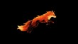 © Arabindu - Energetic Orange Fox with Flame-like Fur Leaping on Photo Black animal creature