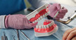 © Nadzeya - Demonstration of dental hygiene techniques using model teeth during a dental check-up