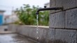 © Cozirlax - Dripping Pipe Against Gritty Urban Background with Lush Greenery in View