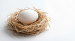 © Flowrender - White Egg in a Rustic Straw Nest on Clean White Background with Extensive Copy Space for Text or Design