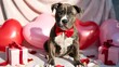 © MdJilu - Cute brindle pitbull puppy wearing a red bow tie sitting with heart balloons
