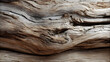 © ModernFiles - A close-up texture of driftwood showing smooth worn surfaces shaped by water with natural grain details
