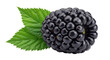 © Luke - Fresh blackberry with green leaf isolated PNG, juicy dark fruit on transparent background for healthy eating and summer dessert concepts