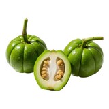 Three green garcinia cambogia fruits isolated on transparent background, one cut in half, showing the seeds inside the fruit
