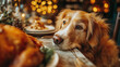 © Maryna - A golden retriever rests its head on the table, gazing longingly at a festive meal adorned with twinkling lights and seasonal decorations.