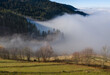 © AmazingAerialAgency - Aerial view of a serene landscape where mist and clouds meet the tree-covered mountain slopes and open fields, creating a tranquil scene, Baden-Baden, Baden-Wuerttemberg, Germany.