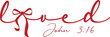 © meril - Loved John 3 16 Red Script Text 3:16 scripture