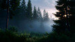 © Moddy - Mystical Forest Scene: A serene forest at dusk, bathed in the soft glow of the setting sun, where the interplay of light and shadow creates an atmosphere of mystery and tranquility.