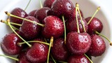 Close-up of fresh dark red cherries with stems and water droplets.