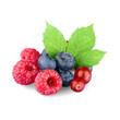 © MasloDesign - Fresh Berries and Mint Leaves on White Background.