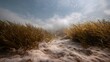 © Thares2020 - Underwater meadow of lush seagrass swaying on a sandy seabed with sunlight filtering from the blue sky and clouds