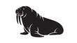 © junaid - Walrus silhouette vector illustration a simple flat design of arctic marine mammal isolated on white background