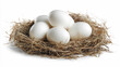 © NTGUILTY - Nest with white eggs resting in a bed of dry grass