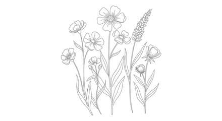  Detailed Line Art Botanical Illustration of Standing Wild and Herbal Flowers