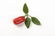 © HoangNam - Red Goji Berry Wolfberry with Leaves Ningxia Superfood Traditional Chinese Medicine Fruit White Background