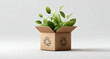 © walker - Potted Green Plant in Cardboard Box with Leaves, Recycle Symbol – Eco, Sustainable Growth