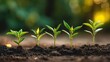 © Igor - Sustainable Development: Row of Green Plant Seedlings