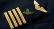 © InfinityVisuals - Pilot's Christmas Crest: The elegant pilot's uniform with a festive touch, featuring a golden emblem. The image captures the spirit of the season through thoughtful detail.