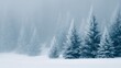 © Firadoaw - frosty spruce forest in winter, snow and ice on evergreen trees, tranquil winter nature background