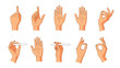 © Shakil - Vector Set of Human Hand Gestures: Pointing Up, Open Stop Sign Palm, and OK Symbol Collection for Communication and Interaction Design