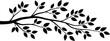 © MONIRUZZAMAN - Horizontal black silhouette of a tree branch with many leaves, vector illustration isolated on white background, decorative botanical element for nature border and eco design.