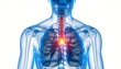 © Lightning - Human body anatomy with highlighted chest pain, 3D medical illustration on white background, concept for healthcare, medicine and education