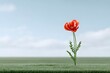© Achirawee - Macro 3D render of a vibrant red poppy against a blurred green meadow, pastel sky above, ample empty area on one side for text