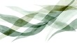 © Yuliia - Abstract flowing green waves with transparent layers creating elegant movement and depth on white background, suitable for modern design projects.