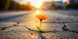 © Vibrant Visions Pixe - A resilient blossom pushing through a cracked pavement, bathed in the warm glow of a setting sun, symbolizes strength and perseverance.