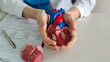 © Nadzeya - Hands holding a detailed heart model during a medical demonstration