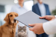 © Галя Дорожинська - Agent hands a pet insurance plan to responsible pet owners