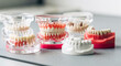 © MD NAZMUL - Dental Models and Prosthetics Display
