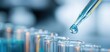 © Studio Nova - The pipette releasing a blue droplet above glass test tubes in a laboratory