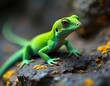 © Pete - Vivid green gecko lizard rests on textured dark volcanic rock with yellow moss. Small reptile animal in wild tropical nature habitat. Exotic fauna with vibrant scales looks alert, watching