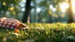 © emanuelsuryawanirga - A picnic basket with a red and white checkered blanket is placed on a grassy area in a park. The sun is shining brightly, creating a warm and inviting atmospher
