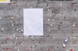 © Lawren Lu/Stocksy - Blank White Paper Sheet on Wooden Bulletin Board