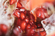 © Painted Wood/Stocksy - Beautiful pomegranate close up