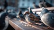 © ding - atrocity. A common sparrow among pigeons pecking crumbs on a city park bench in morning light. wildlife magazines, conservation campaigns, designed for nature documentaries and education.