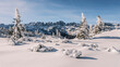 © PATMALUPHOTO - Snow-covered fir trees stand against a backdrop of jagged mountain peaks, , Brenta Dolomites, under a clear blue sky. Paganella, Roda refuge,Trentino, Italy