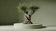 © Designify - Ancient Olive Tree on a Pedestal, Minimalist Green Background