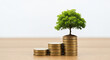 © Prarawatri - Financial growth and investment success represented by a lush green tree growing on stacked coins, symbolizing wealth, prosperity, and sustainable economic development